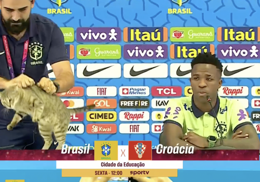 World Cup 2022: Brazilian media manager throws cat out of Vinicius press conference not very gently