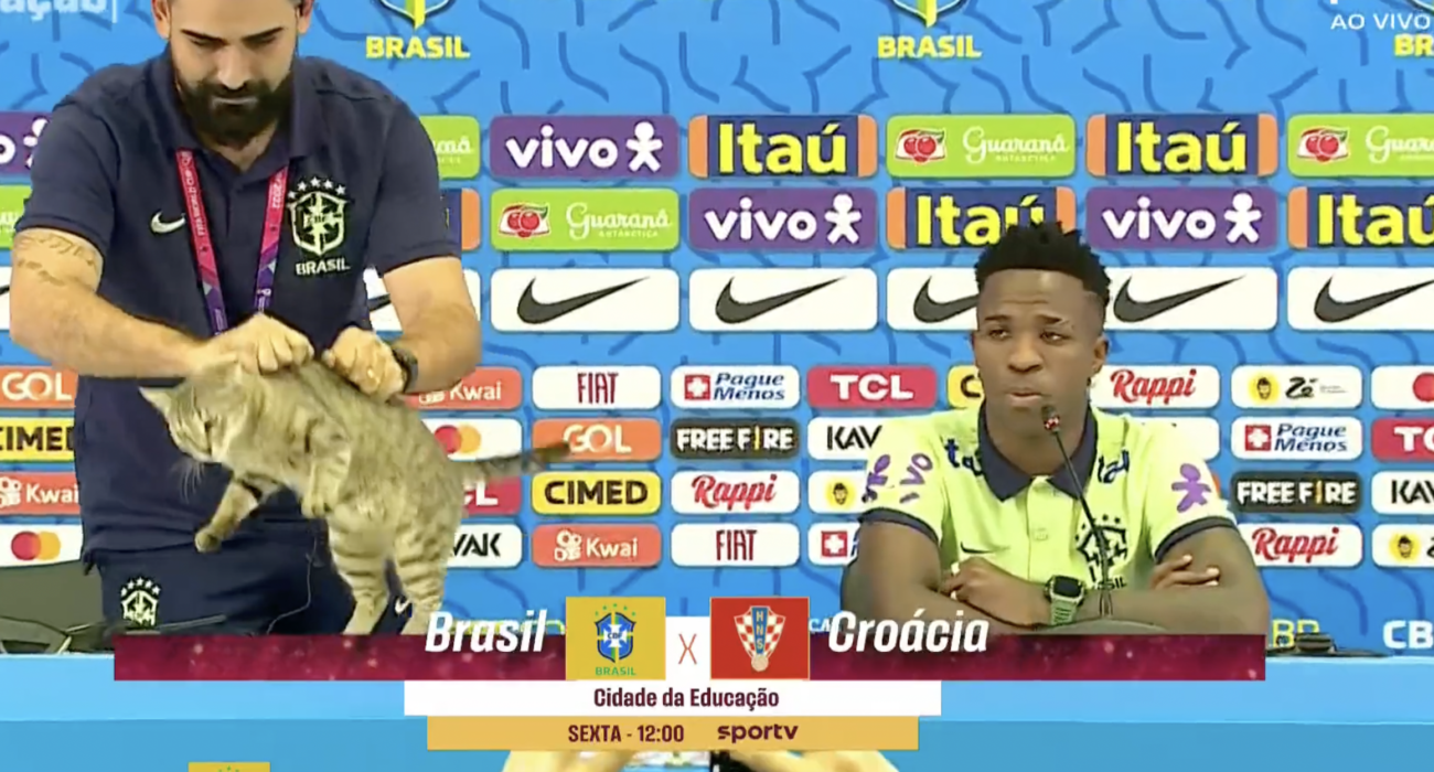 World Cup 2022: Brazilian media manager throws cat out of Vinicius press conference not very gently