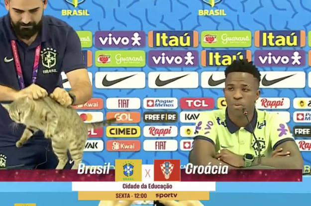 World Cup 2022: Brazilian media manager throws cat out of Vinicius press conference not very gently