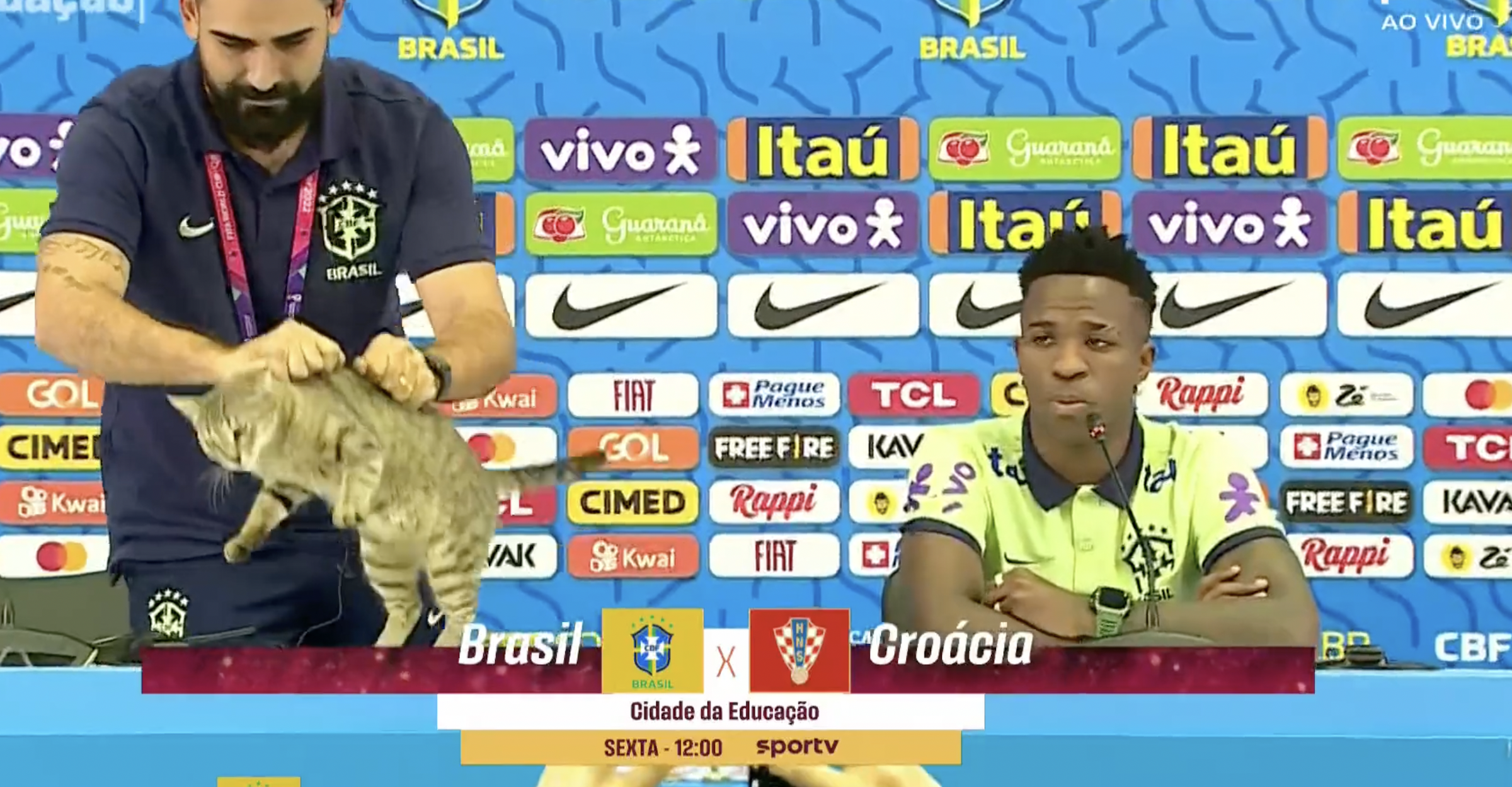 World Cup 2022: Brazilian media manager throws cat out of Vinicius press conference not very gently